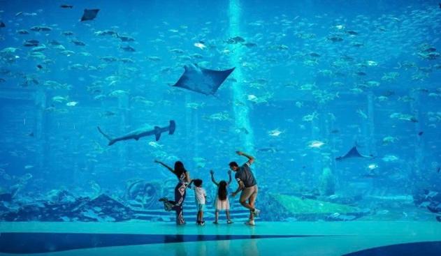 NGÀY 3: ĐẢO PHƯỢNG HOÀNG – BÃI BIỂN VỊNH HẢI ĐƯỜNG.  
