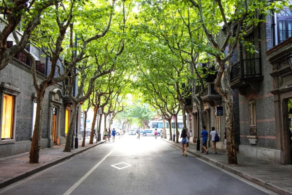 Tour Thượng Hải – Ô Trấn – Tây Sách