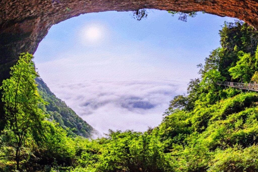 Núi Kim Phật sơn (Jinfo Mountain) – tuyệt cảnh thiên nhiên giữa mây núi